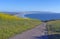 Colorful Trail Heading to the Ocean