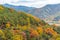 Colorful treas during autumn foliage season at Hahoe folk village in Republic of Korea