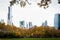 Colorful tree line and Midtown Manhattan buildings