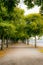 A colorful tree lined walking boulevard in the center of Stockholm in autumn - 1