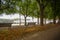 A colorful tree lined walking boulevard in the center of Stockholm in autumn - 4