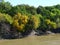 Colorful trees along a riverbank in autumn