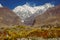 Colorful trees in forest against snow capped mountain peak in Karakoram range.