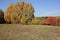 This is a colorful trees in Kyiv park