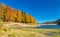 Colorful trees at the lakeside of Lac de la Lauch in the Vosges mountains - Haut-Rhin, France