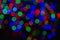 Colorful trendy festive background of blurry lights. Abstract Blurry Background Bokeh. Defocused, soft focus