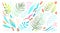 Colorful tropic hand drawn leaves and nature objects clip art collection.