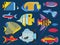 Colorful Tropical Aquarium Fishes Set in Flat