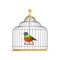 Colorful tropical bird sitting on triangle swing in antique hanging cage. Home for feathery creation. Flat vector design