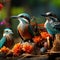 Colorful tropical birds gather at fruit and nut feeder