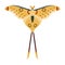 Colorful Tropical Butterfly Moth Icon in Cartoon