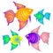 Colorful Tropical Fish Clipart