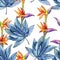 Colorful tropical plants. Floral botanical flower. Seamless background pattern.