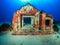 colorful tropical reef in the red sea with abandoned temple