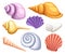 Colorful tropical shells underwater icon set frame of sea shells, illustration.Summer concept with shells and sea stars. Ro