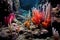 colorful tube worms near hydrothermal vent