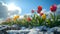 Colorful tuip flowers and grass growing from the melting sun, blue sky and sunshine.