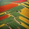 a colorful tulip field in vibrant bloom in Turkey