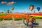 Colorful tulip fields, bicycles, windmills and hot air balloons, Netherlands