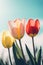 Colorful tulip flowers on a sunny day AI generated