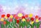 Colorful tulips border on triangle background