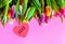 Colorful  tulips Bouquet on pink  background with heart copy space  abstract, spring flowers  Concept template pastel