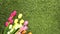 Colorful tulips in a field. Spring - poster with free text space, Flat lay, top view. Valentines background.