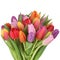 Colorful tulips flowers bouquet in spring or mother\'s day isolat