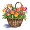 Colorful Tulips in the Garden.tulip flowers in basket, watercolor style