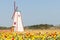 Colorful tulips in the park and wooden windmills on background