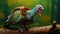 Colorful Turkey On Wood Branch: A Photographic Masterpiece