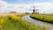 Colorful typical Dutch landscape in springtime