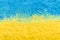 Colorful Ukrainan flag yellow blue color holi paint powder explosion isolated on white background. russia ukraine conflict war