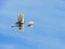 Colorful ultralight plane flying against blue sky