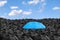 Colorful umbrella in mass of black umbrellas.