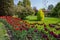 A colorful and variegate kinds of tulips flowers.