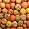 Colorful varieties of pumpkins. Color gradient background