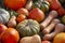 Colorful varieties of squashes and pumpkins on straw.