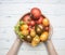 Colorful various of organic farm vegetables different varieties of tomatoes, fresh vegetables in wooden bowl in female hands on