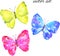 Colorful vector butterflies: yellow, pink, blue. Hand drawn watercolor illustration. Isolated on white background.