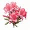 Colorful Vector Illustration Of Pink Azaleas On Wooden Branch