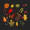 Colorful vector set of autumn leaves. Maples, oaks, chestnut trees and elms leaves, red berries and acorns. Hand drawn