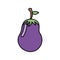 colorful vegetable eggplant icon