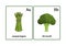 Colorful Vegetables Flashcards - 1