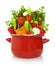 Colorful vegetables in a red cooking pot