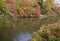 Colorful vegetation in Central Park