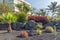 colorful vegetation next to a hotel in lanzarote