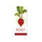 Colorful vertical label for organic beetroot juice. Healthy drink. Fresh vegetarian beverage. Hand drawn vector design