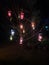 Colorful Vesak Lanterns in Night