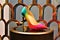 Colorful Vibrant High Heals Stilettos Shoes